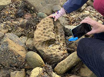A rocky shore with a dimpled stone in the middle, a hand holds a mobile phone filming a childs hands in pink fingerless gloves holding the rock.