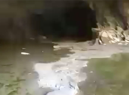 blurred image of a path leading into the watery floor of a dark cave