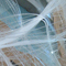 Click thumbnail above to view large image