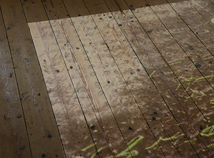 An image of grass growing and an old production book, made with machine learning softare. Projected onto wooden floorboards