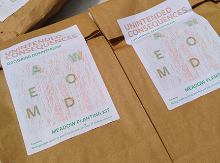 two brown paper bags with labels saying 'Meadow Planting Kit'