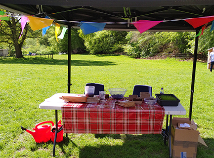 A table set out for a meadow growing workshop, under tent roof with coloured bunting