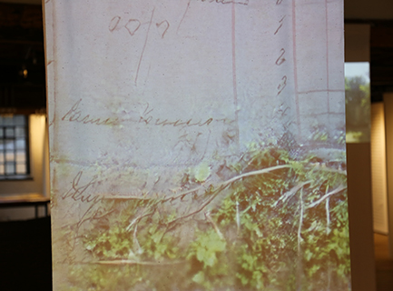 A projected image combining moss, lichen, and an old handwritten wages book