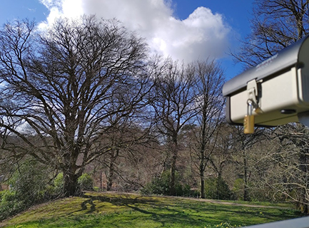 A camera box pointing towards a tree in winter with blue skies