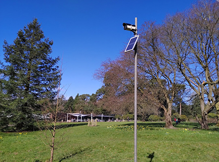 A camera with solar panel on an 8ft metal pole in a garden
