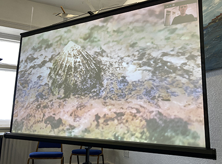 A projection screen with an image of a limpet in a zoom call